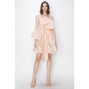 Blush Bow Dress