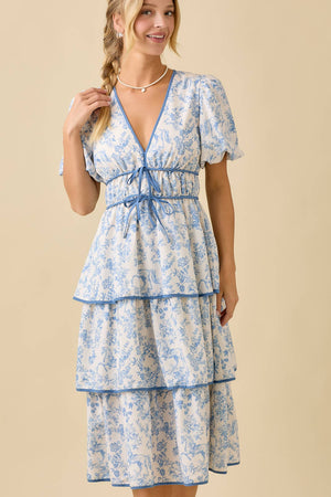 Vintage Horse Toile Midi Dress