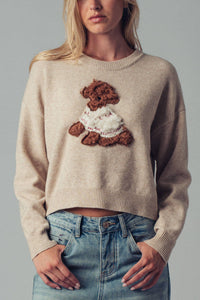 Whimsical Puppy Applique Knit Sweater