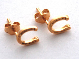 Horseshoe Stud Earrings gold Natural History