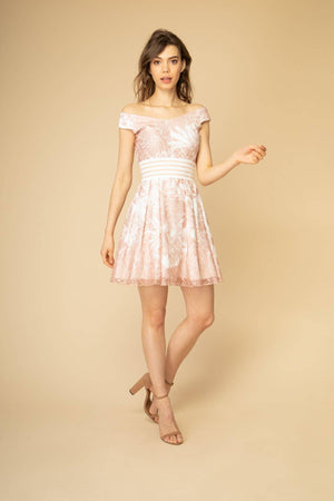 Floral Lace Skater Dress