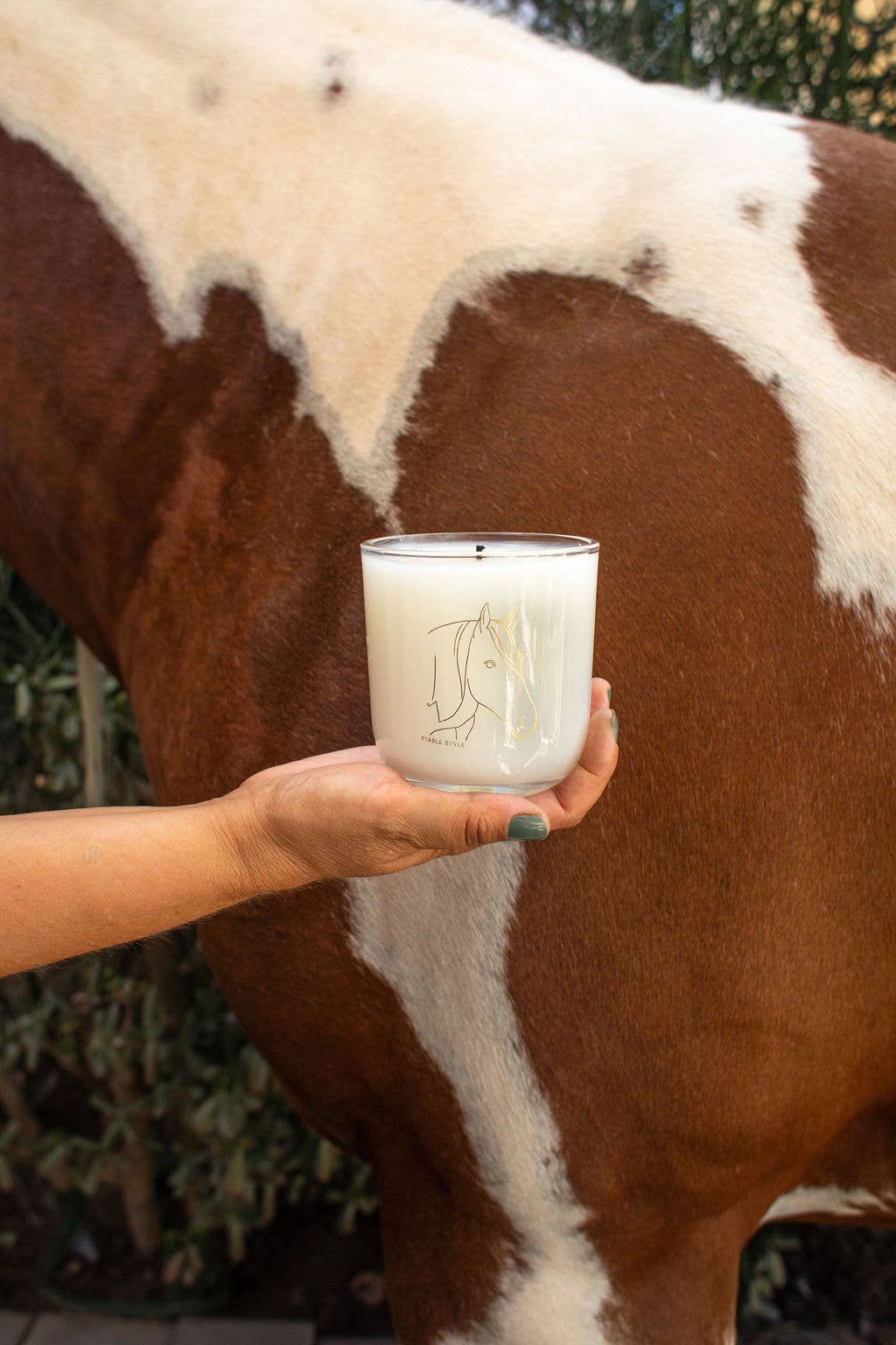 Horse Soy Wax Candle - Spirit 