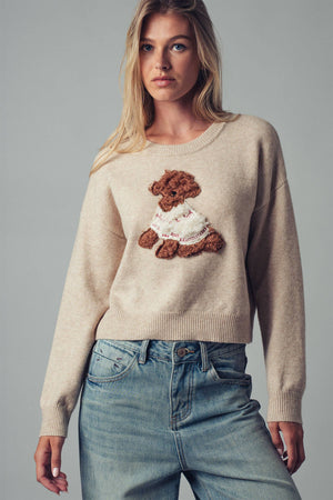 Whimsical Puppy Applique Knit Sweater