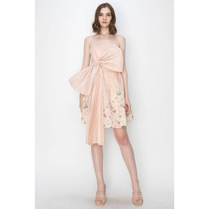 Blush Bow Dress