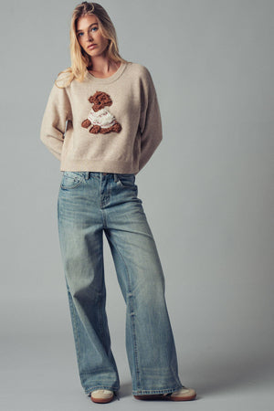 Whimsical Puppy Applique Knit Sweater
