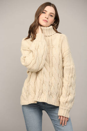 Cable Knit Turtleneck
