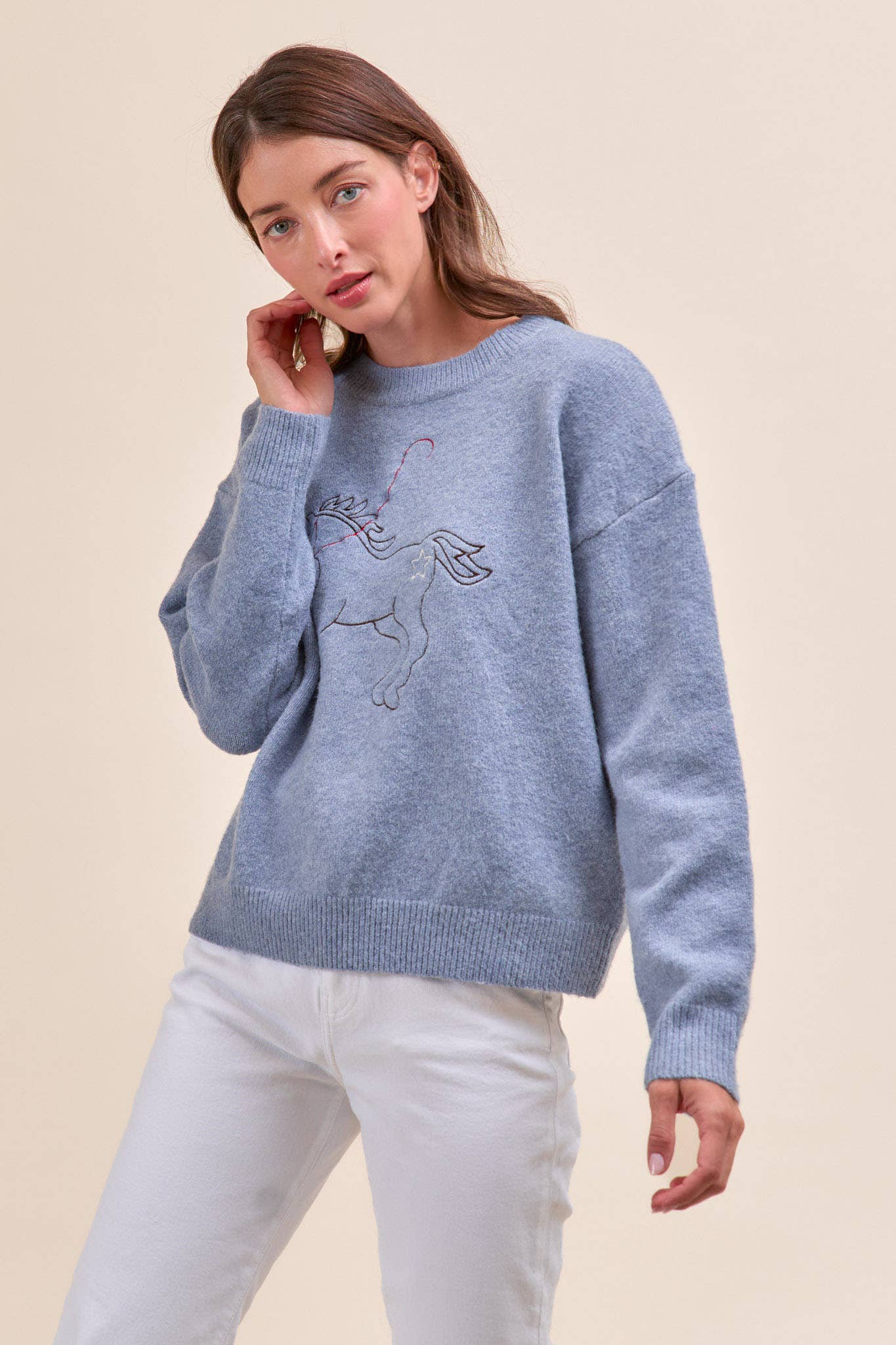 Horse Embroidery Pullover Sweater