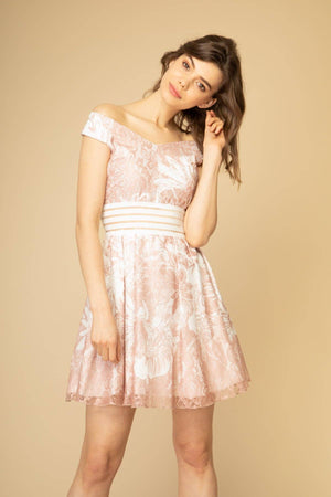 Floral Lace Skater Dress