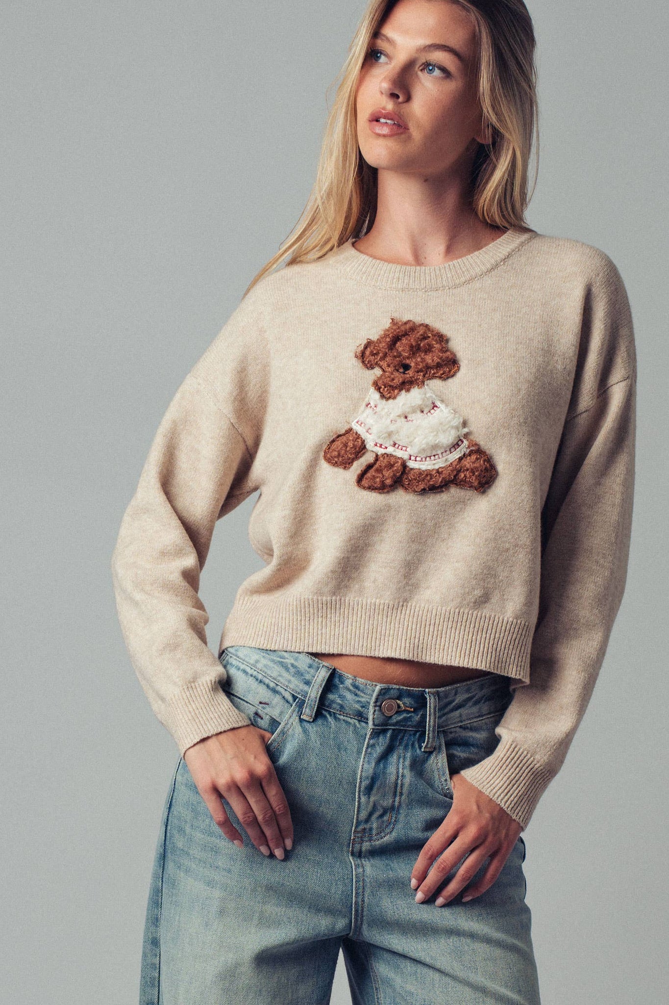 Whimsical Puppy Applique Knit Sweater