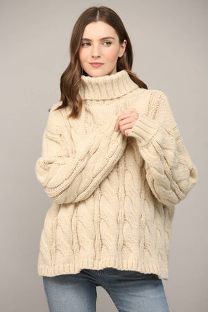 Cable Knit Turtleneck
