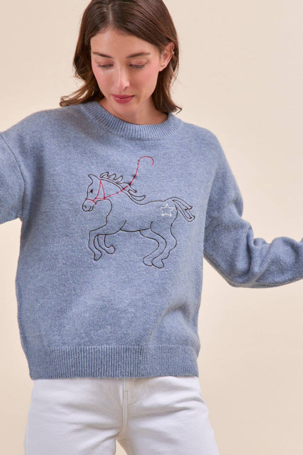 Horse Embroidery Pullover Sweater