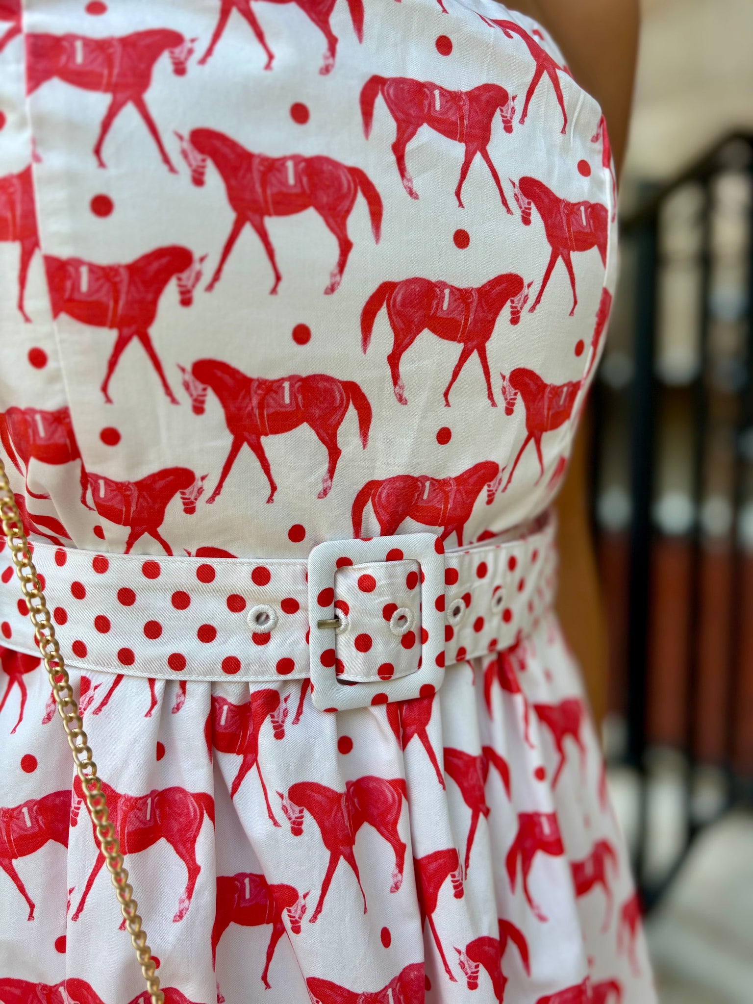 Belted One Horse Dress
