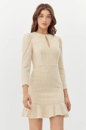 Jocelyn Burnout Knit Mini Dress