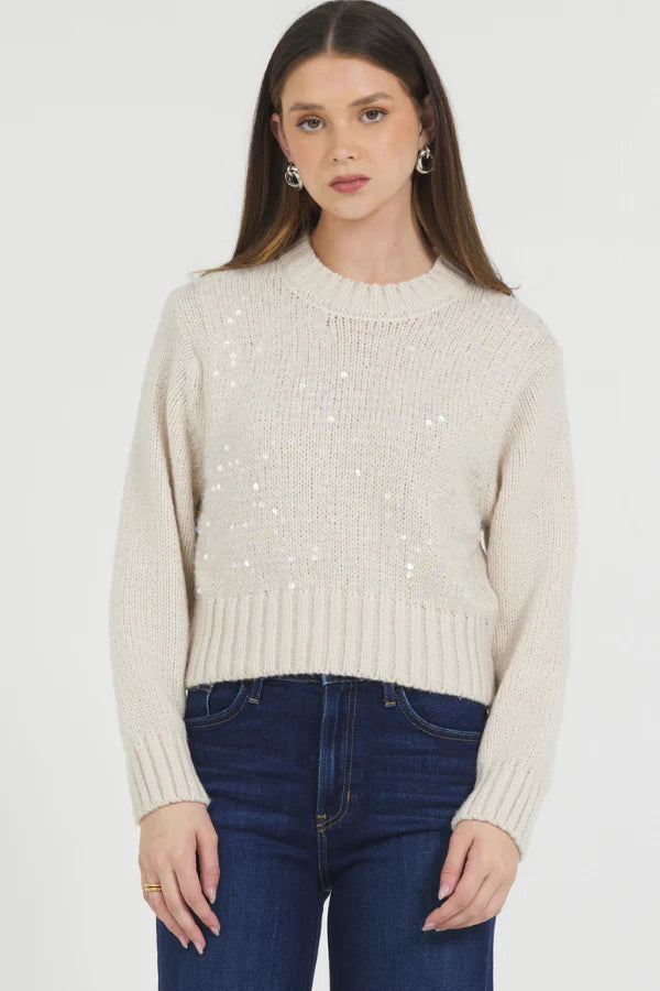 Sequin Pullover Sweater