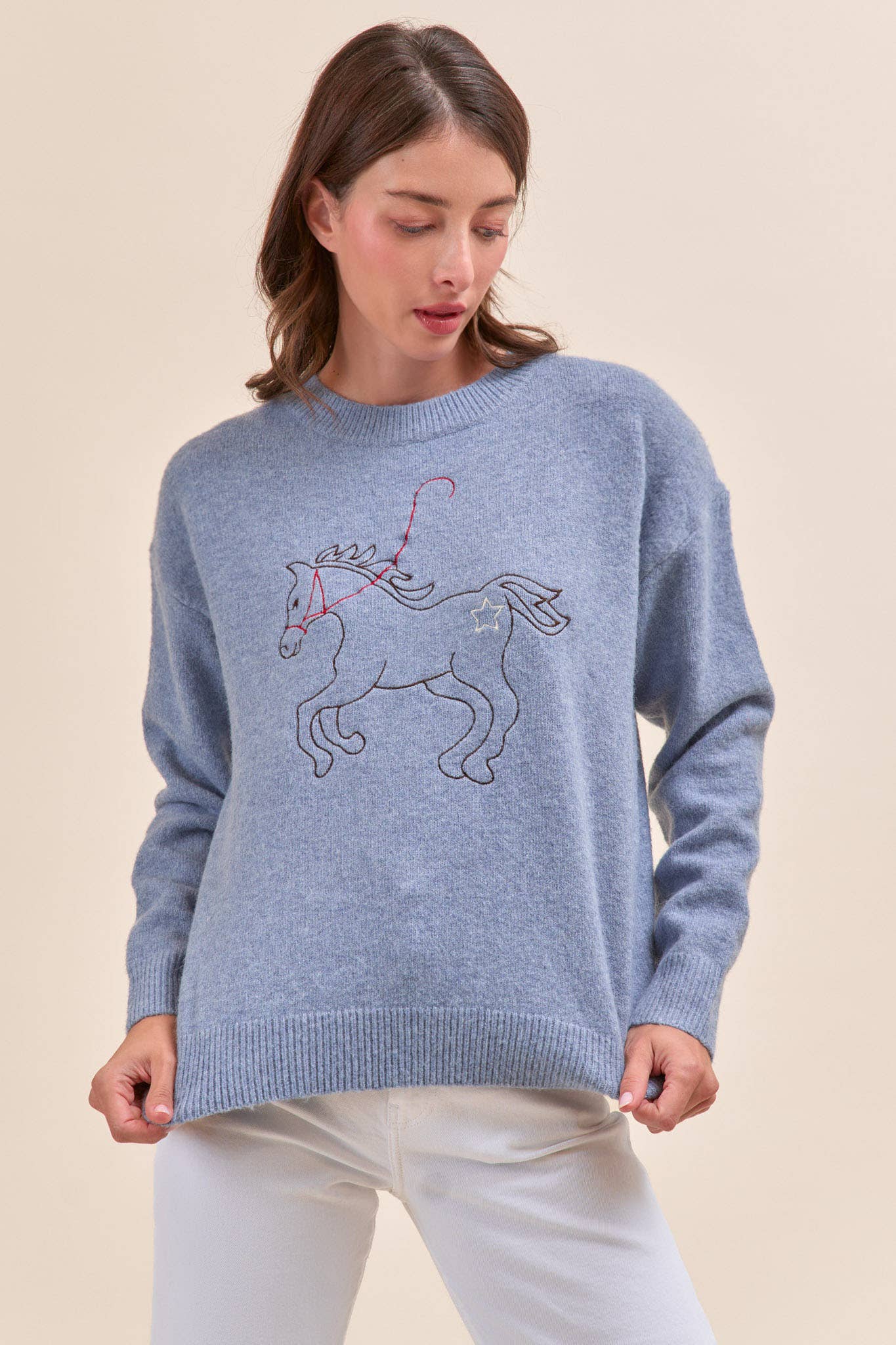 Horse Embroidery Pullover Sweater