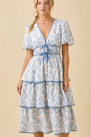 Vintage Horse Toile Midi Dress