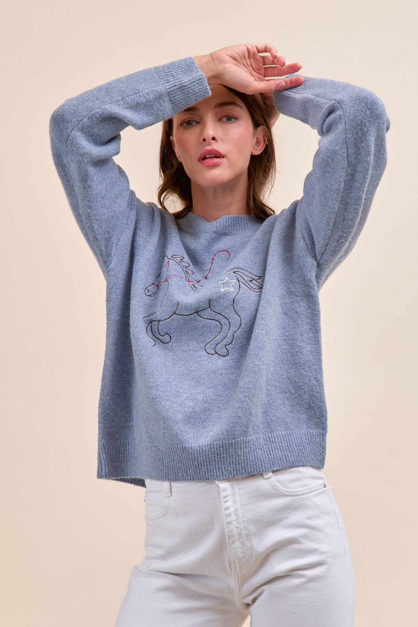 Horse Embroidery Pullover Sweater