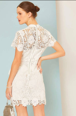Lace pocket Mini