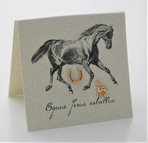 Horse & Horseshoe Stud Earrings gold Natural History