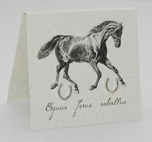 Horseshoe Earrings -  Sterling Silver Natural History