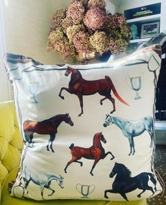 Carson Kressley Silk Down Pillow
